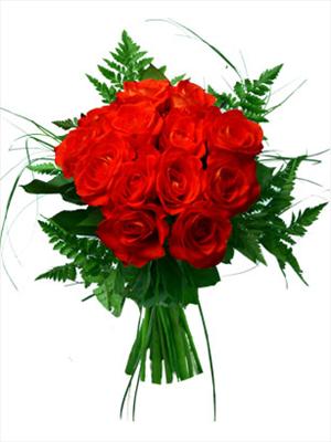 Red Roses