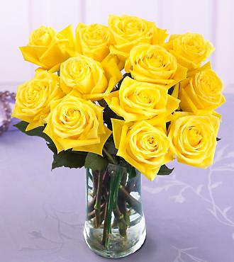 Yellow Roses