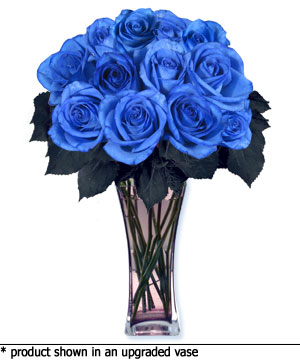 Blue Roses
