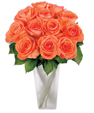 Peach Roses