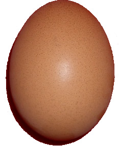 Oeuf