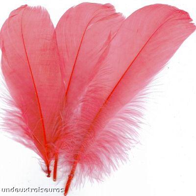 Plumes