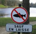 sauf en laisse