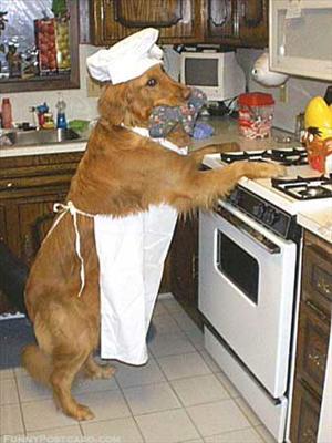 Lol doggy