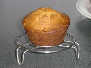 Basic Muffin
