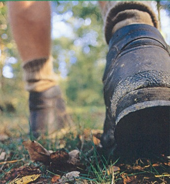Hiking Boots