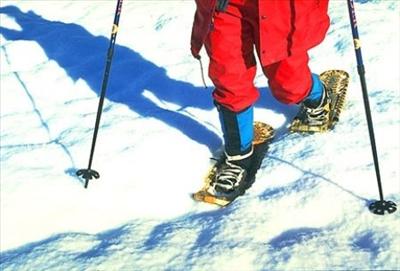 Snow Shoes