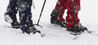 Skis