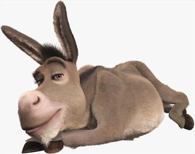 burro