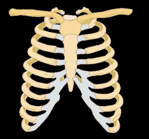 Funny Bones