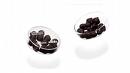 Chocolate Covered Ants