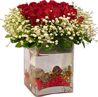 TEBRİKLER