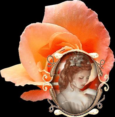 sfera donna