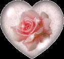 sfera rosa