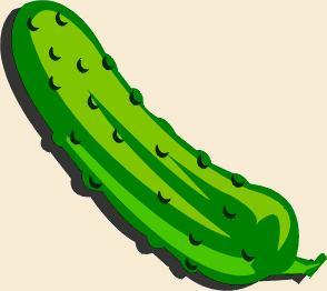 Pickle