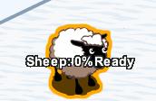 sheep