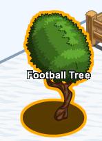 foot ball tree