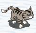 gray cat