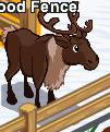reindeer