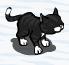 black cat 
