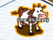brown & white cow