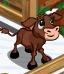 brown calf
