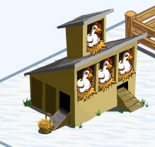 chicken farm