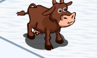 brown cow