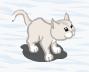 white cat