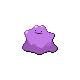 Ditto