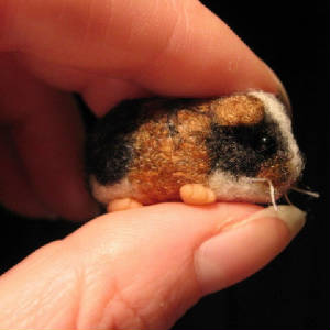guinea pigs