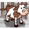 nomal cow
