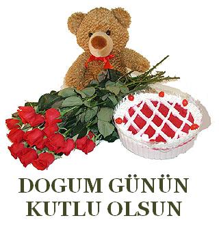 Ayicikli Kutlama