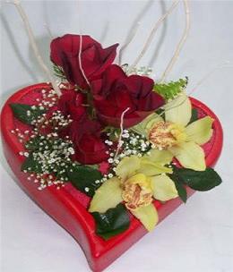 Orkidem