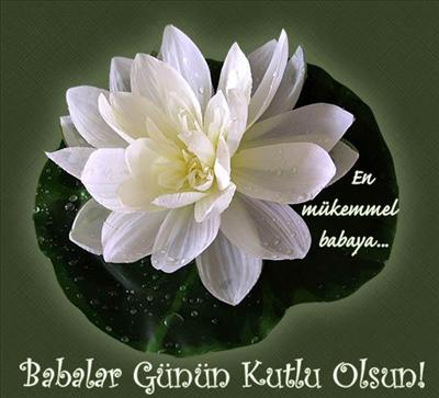 Babalar Günü