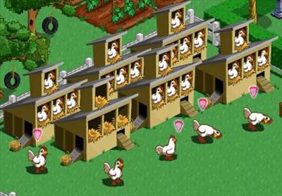 Chickens