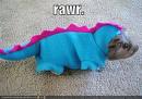 Cheesy but awesome Rawr