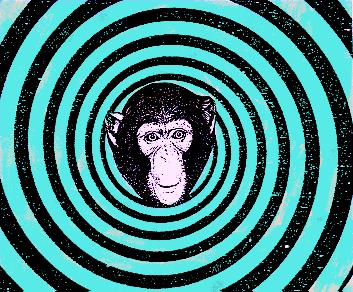 Psychedelic Monkey