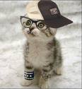 kucing imuth