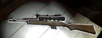 Hunting Rifle