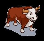 Bull