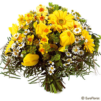 fleurs jaunes