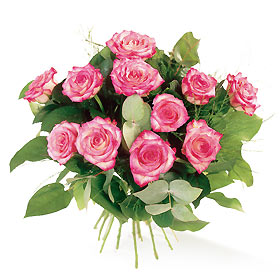  fleurs roses