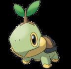 Tortipouss