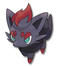Zorua