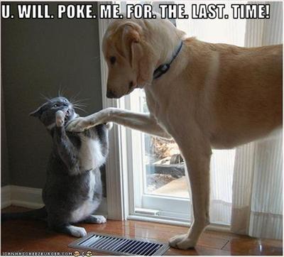  poke threat
