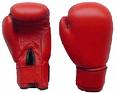 Boxing gloves