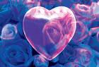 Transparent Love