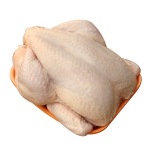 piliç