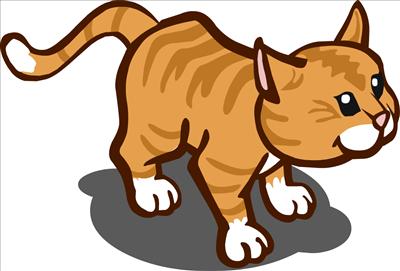 Orange cat